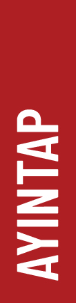 Ayntap
